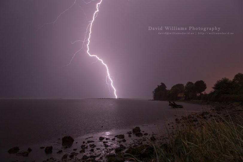 David Williams Photography