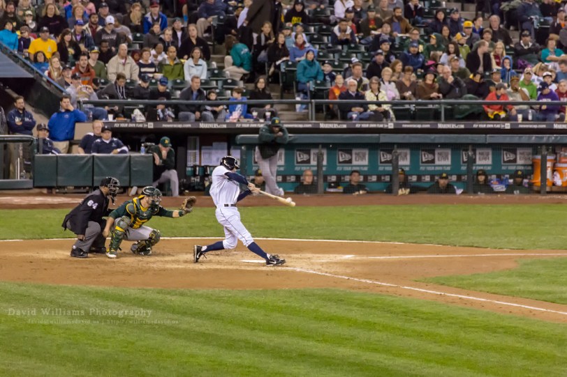 David Williams Photography Grandslam