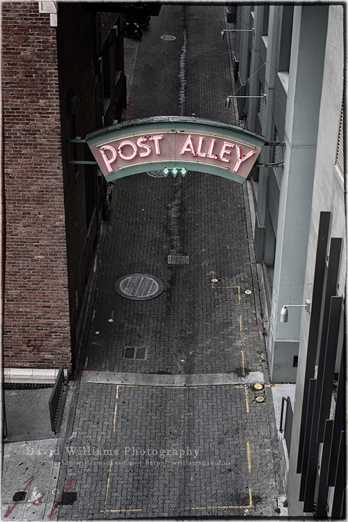 David Williams Photography PoV