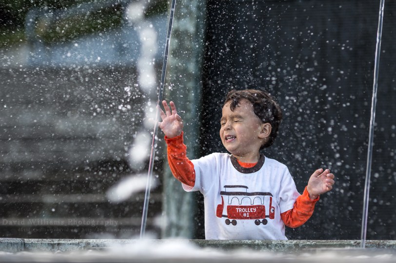 David Williams Photography Wordless Wednesday ~09.25.13~