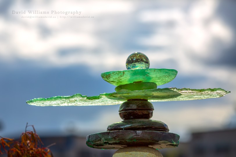 David Williams Photography Green-nessss