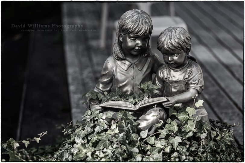 David Williams Photography Reading