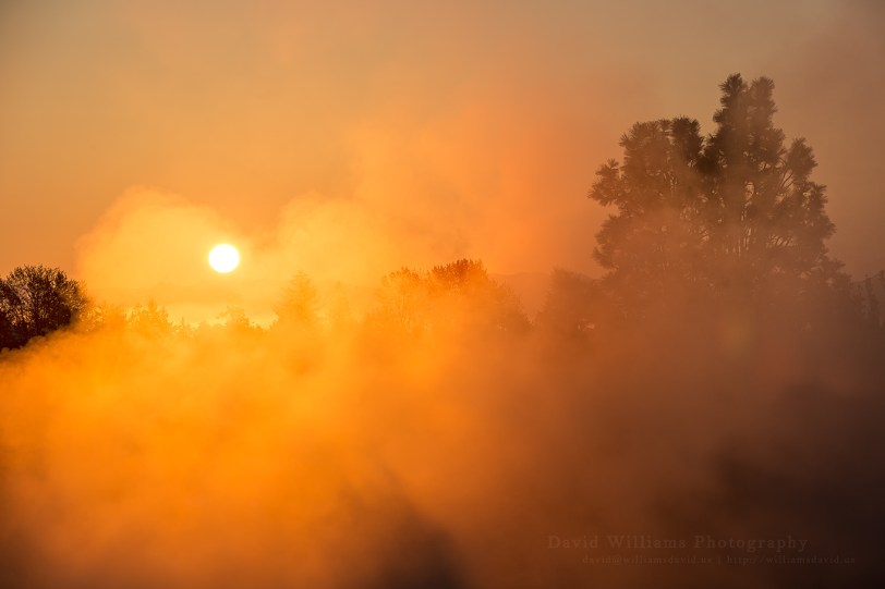 David Williams Photography Sunrise