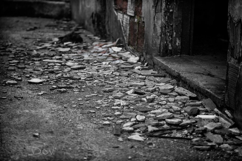 Devon Williams Crumble