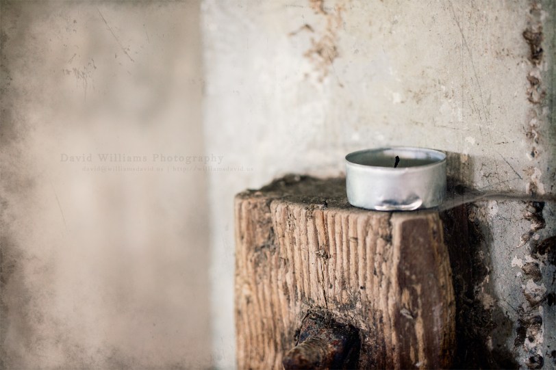 David Williams Photography Light