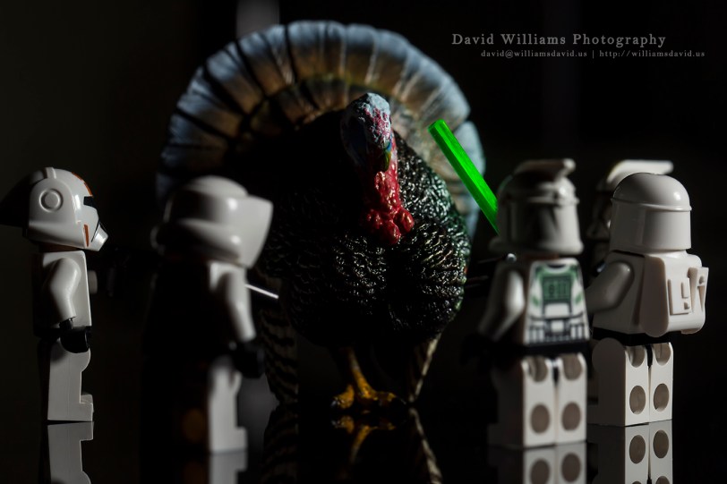 David Williams Photography Who Will Win