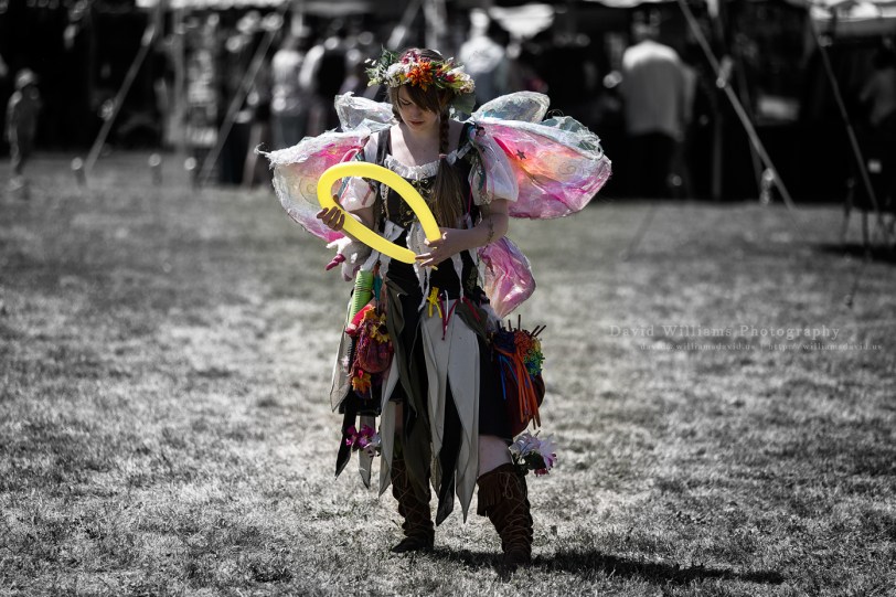 David Williams Photography Wordless Wednesday ~11.20.013~