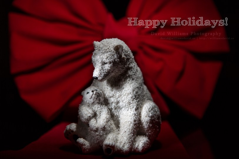 David Williams Photography Happy Holidays!
