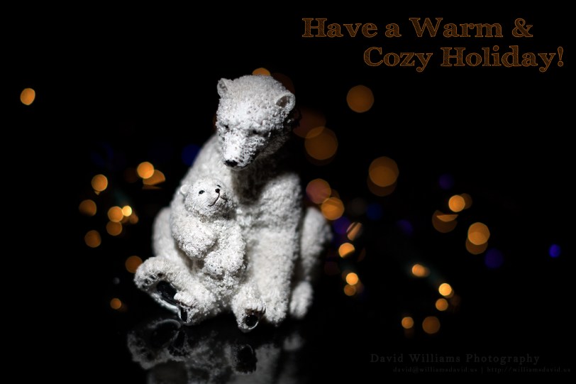 David Williams Photography Cozy