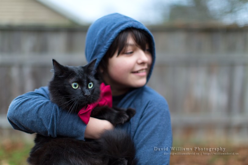 David Williams Photography Cat & The Bow Tie 2