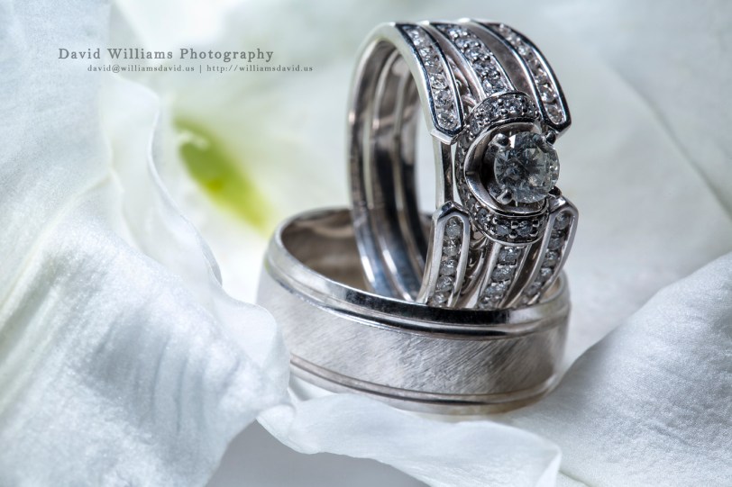 David Williams Photography Ring Ding A Ding