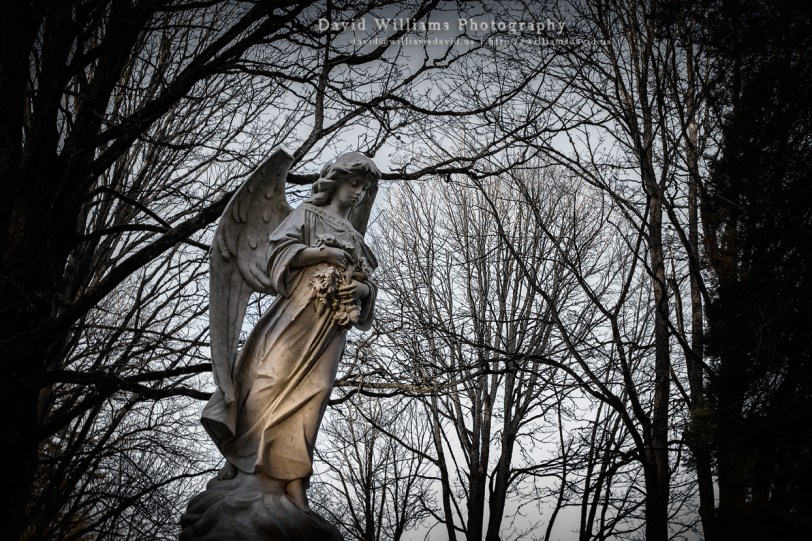 David Williams Photography Weeping Angel