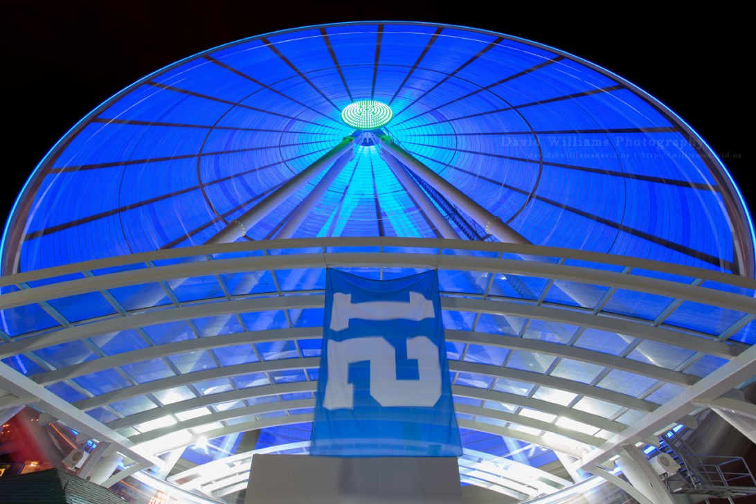 David Williams Photography