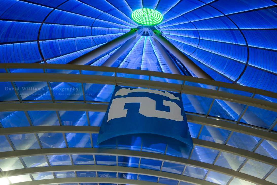 David Williams Photography