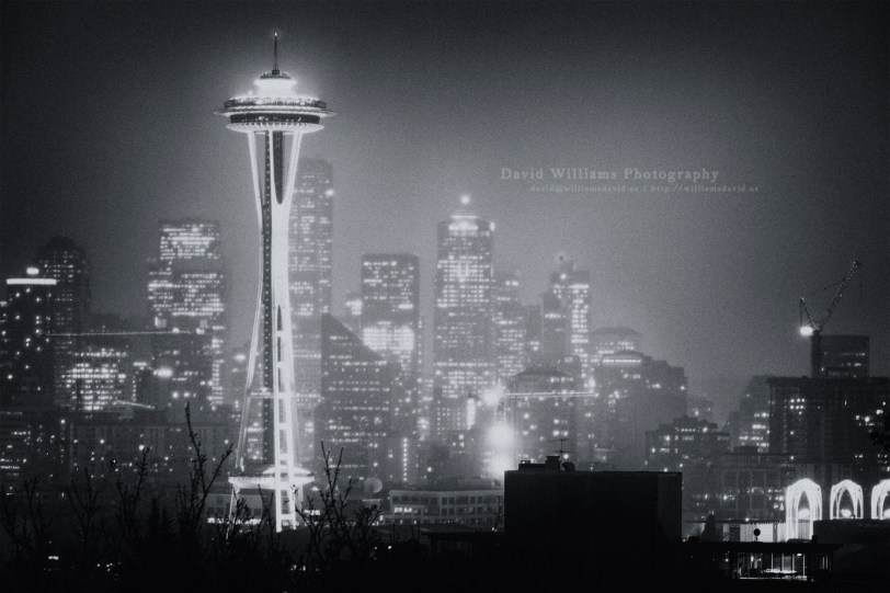 David Williams Photography B&W Needle