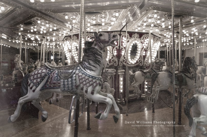 David Williams Photography Run!