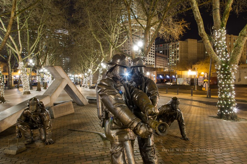 David Williams Photography Thank You SFD 2