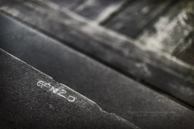 David Williams Photography Gonzo