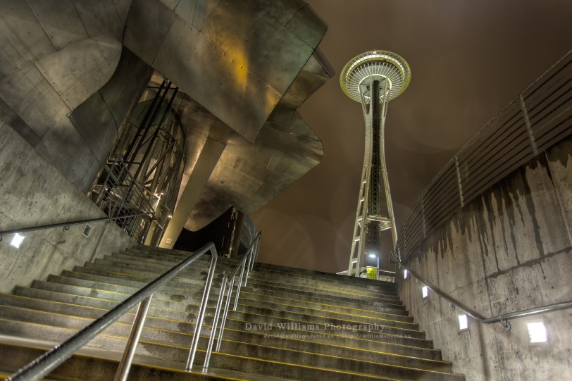 David Williams Photography Wordless Wednesday ~02.19.14~ Space Needle