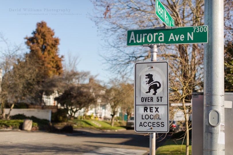 David Williams Photography The Sign...REX!