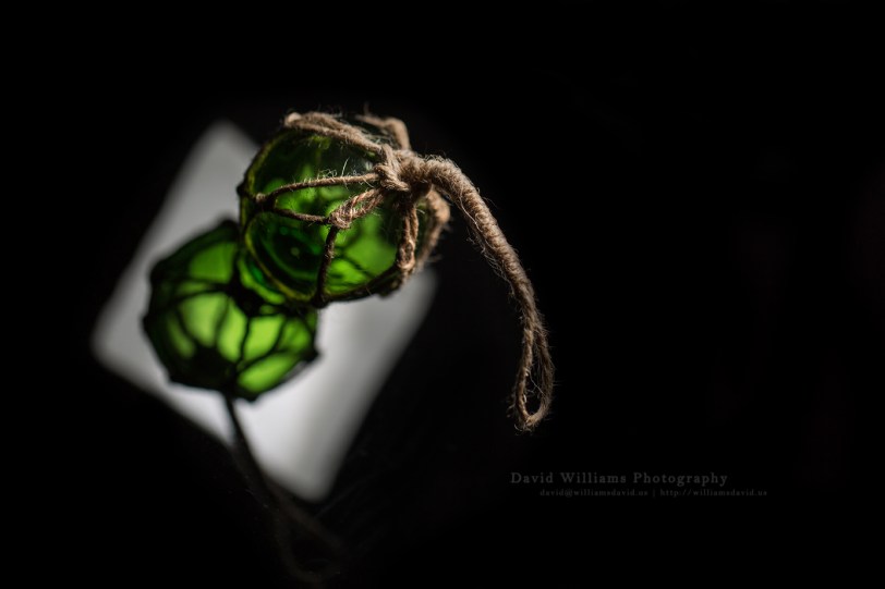 David Williams Photography Bobble