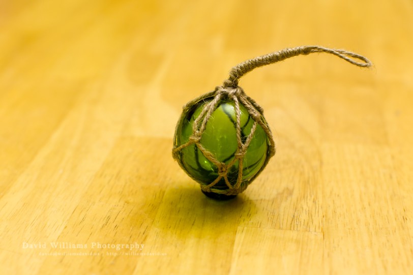 David Williams Photography Bobble