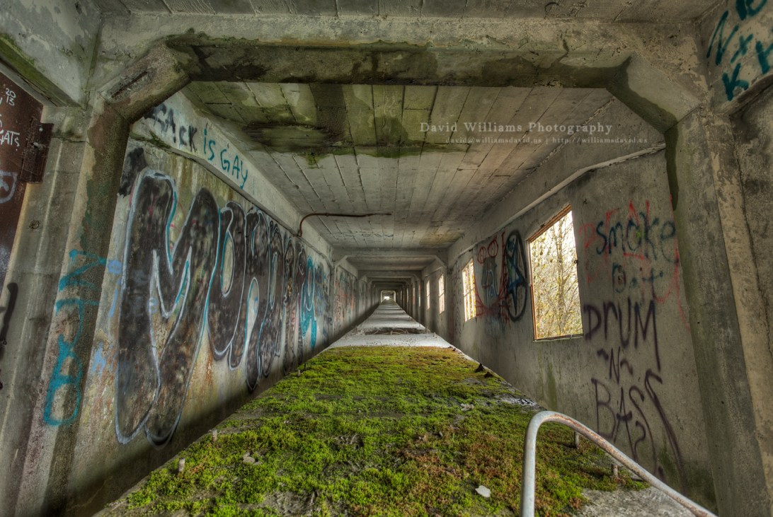 David Williams Photography Lime Quarry Conveyor Table