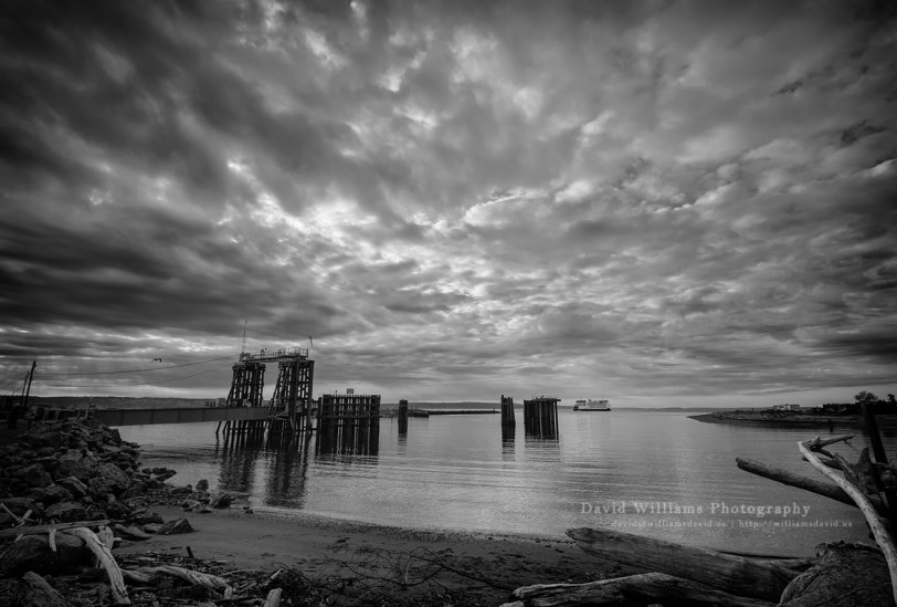 David Williams Photography Waiting For The...