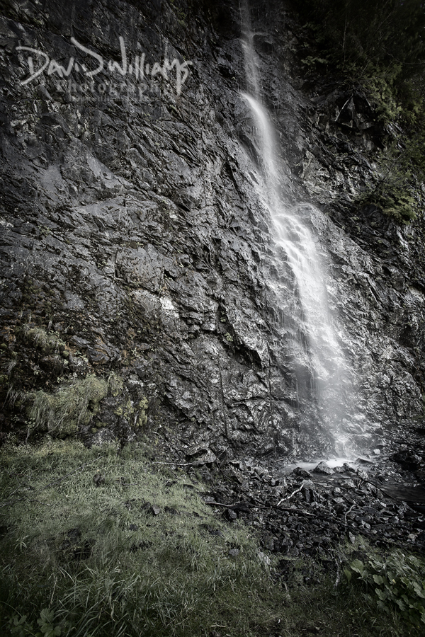 David Williams Photography