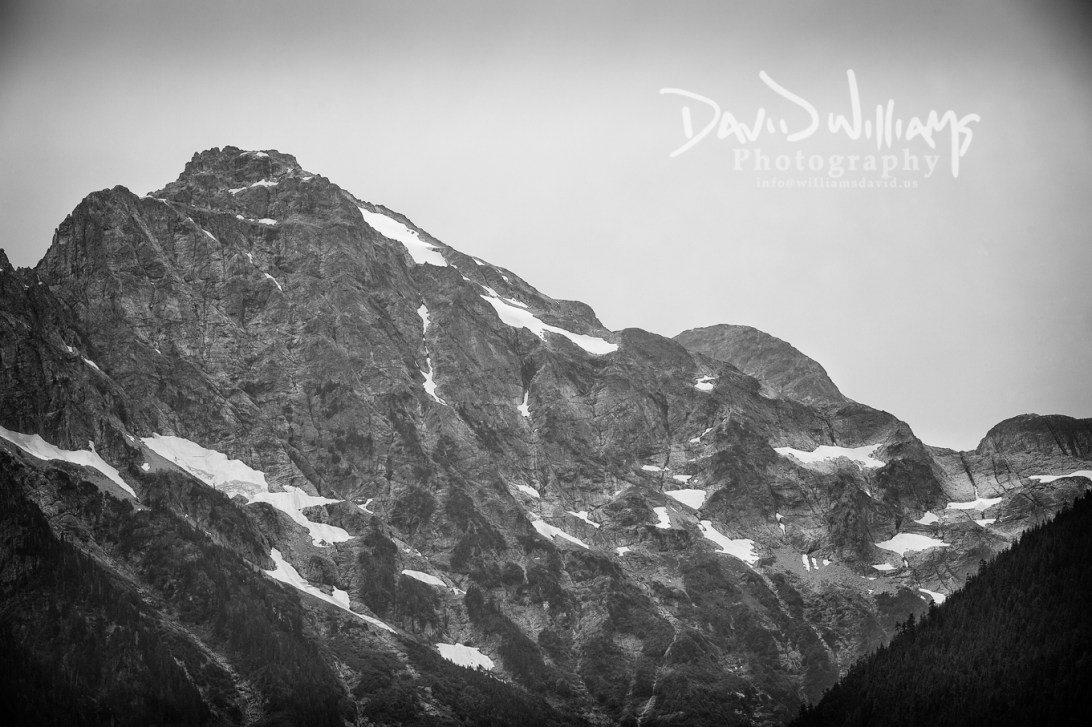 David Williams Photography